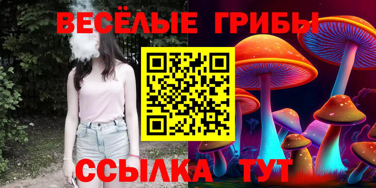 Псилоцибиновые грибы ЛСД  Вход с VPN  Находка 